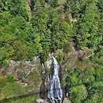 Bergoase - Todtnauberg, Feldberg Apartamento *