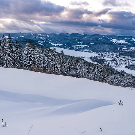 Bergoase - Todtnauberg, Feldberg *