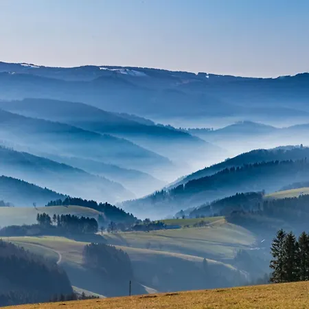 Bergoase - Todtnauberg, Feldberg *