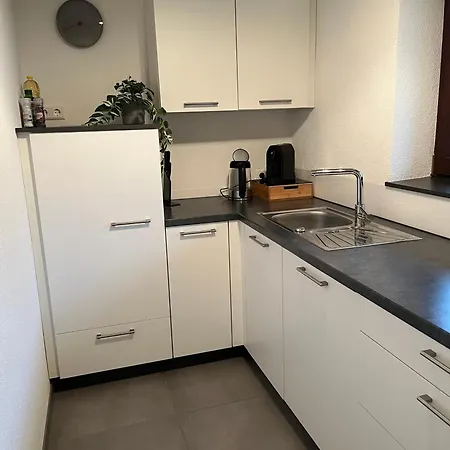 Bergoase - Todtnauberg, Feldberg *