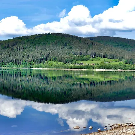 Bergoase - Todtnauberg, Feldberg Appartement Todtnau