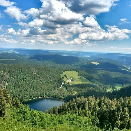 Bergoase - Todtnauberg, Feldberg Apartment