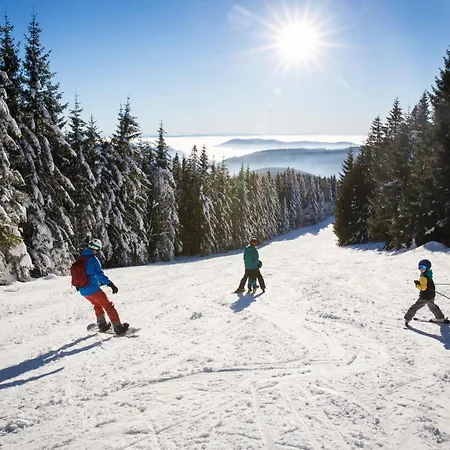Apartment Bergoase - Todtnauberg, Feldberg