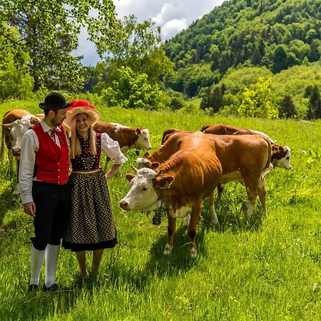 Bergoase - Todtnauberg, Feldberg